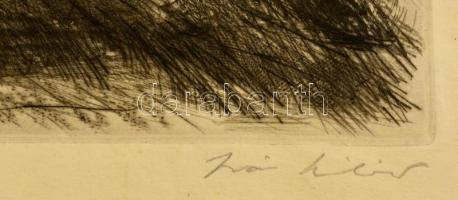 Iván Szilárd (1912-1988): Balatoni táj. Rézkarc, papír, jelzett,  19×30 cm