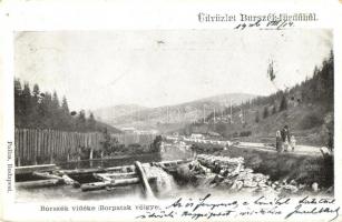 Borszék-fürdő, Borsec; látkép, Borpatak völgye. Pallas kiadása / valley, river (EK)