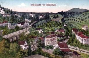 Savanyukút-Sauerbrunn