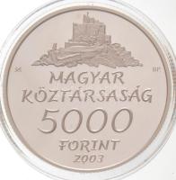 2003. 5000Ft Ag "Hollókő" T:PP
Adamo EM185