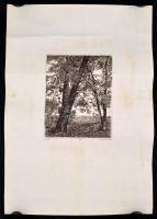 Ifj. Imre István (1950-) 2 db rézkarca: Tiszapart+Liget, rézkarc, papír, jelzett, számozott, felcsav...