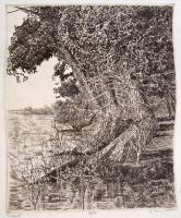 Ifj. Imre István (1950-) 2 db rézkarca: Tiszapart+Liget, rézkarc, papír, jelzett, számozott, felcsav...