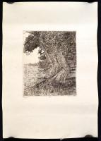 Ifj. Imre István (1950-) 2 db rézkarca: Tiszapart+Liget, rézkarc, papír, jelzett, számozott, felcsav...