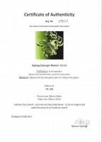 Marosi György (1964- ): Tűzhal, elektrográfia, papír, jelzett, számozott (2/6), eredetiségigazolássa...