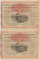 Budapest 1904. "Erzsébet királyné Sanatorium Sorsjegykölcsön" 5K értékben, szárazpecséttel...