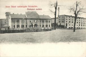 Budapest XV. Rákospalota, Palotaújfalu; Dozzi József szalámigyára