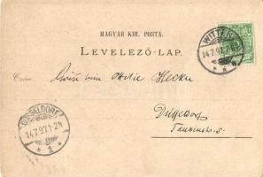 1897 (Vorläufer!) Budapest, Margitsziget, gyógyforrás, fürdő, Louis Glaser, Art Nouveau, floral, lit...