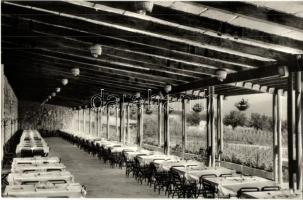 Badacsony - 8 db MODERN képeslap, vasútállomás, borkóstoló, aszú válogatás, SZOT, Tátika és Hableány...