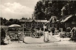 Balatonfüred - 8 db modern képeslap; Camping, Lóczy Lajos gimnázium, Mezőgazdasági szakközépiskola, ...