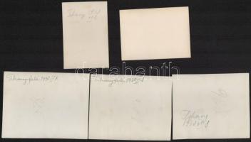 1930 Tihany és környéke, 5 db fotó, hátoldalon feliratozva, 8,5x6 és 11x8,5 cm közötti méretekben
