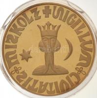 DN "Miskolc MCCCLXV" aranyozott Ag emlékérem (31,27g/0.999/42,5mm) T:1(PP)