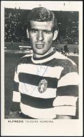 Alfredo Teicxeira Moriera a Sporting Lisabon football játékosának aláírt képeslapja / Autograph signed photo