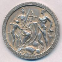 1912. "Budapest Székesfővárosi Közlekedési Részvénytársaság Sportegyesülete a sport terén elért...