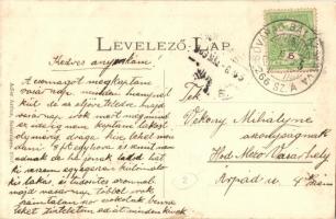 Dicsőszentmárton, Tarnaveni; utcakép, Vármegyeház. Adler Arthur 1907. + vasúti pecsét / street view ...