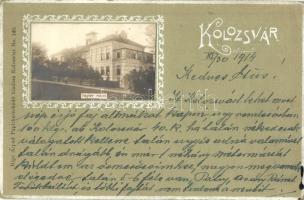 Kolozsvár, Cluj; Vegytani intézet. Rigó Árpád kiadása / Chemistry Institute. Art Nouveau (EK)