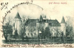 Nagykároly, Carei; Gróf Károlyi kastély / castle (Rb)