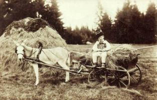 Kid with donkey Photo