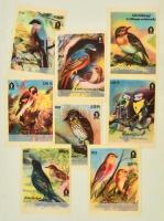Madár motívumos gyufacímke, 16 db, teljes sor, 9x7 cm