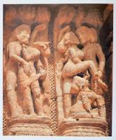 Horváth Vera: Az indiai művészet évezredei. Gink Károly felvételeivel. Bp., 1982, Corvina. Kiadói eg...