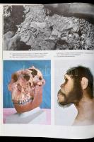 A múlt születése sorozat 5 kötete: 
David Oates, Joan Oates: A civilizáció hajnala. 
Patrick Fitzg...