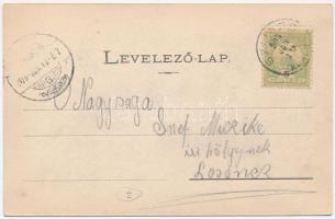 Szliács, Sliac; Pest szálló. Kerekes Miklós kiadása / hotel