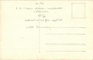 U-16 német tengeralattjáró osztrák-magyar zászló alatt, mellette az SMS Babenberg osztrák-magyar csa...