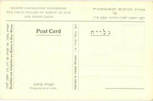 Societe Cooperative Vigneronne, The great Cellers of Rishon Le Zion and Zicron Jacob. Vinegrowers at...