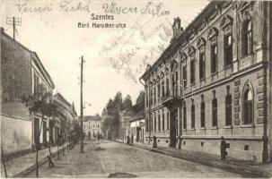 Szentes, Báró Harucker utca. W.L. Bp. 4134. Eisler Lajos kiadása