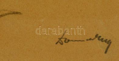 Domanovszky Endre (1907-1974):Női fej. Szén, papír, jelzett, üvegezett keretben, 27×19 cm