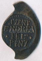 Asszonyi Tamás (1942-) DN "Szentendrei fél-pénz" Br plakett (39x43mm) T:2