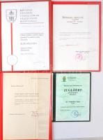 8db-os kitüntetés és emlékérem adományozói okirat tétel, benne egy 1955-ös érettségi bizonyítvány