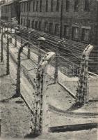 Auschwitz-Birkenau, Oswiecim; part of the barbed wire fence through which electric current was conducted, WWII German Nazi concentration camp (EK)