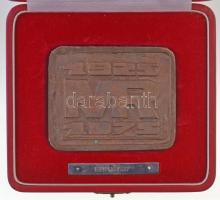 Somogyi József (1916-1993) 1975. "MRT (Magyar Rádió és Televízió)" jelzetlen Br plakett to...