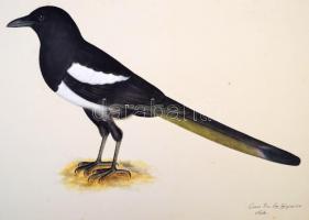 1998 Olof Rudbeck D.J.: Portfolio. Stockholm, René Coeckelberghs, 15 p.+35 t. Kiadói kartonmappában,...