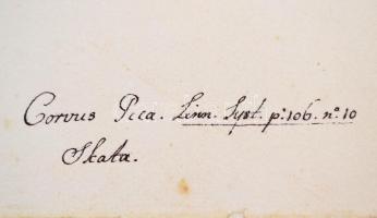 1998 Olof Rudbeck D.J.: Portfolio. Stockholm, René Coeckelberghs, 15 p.+35 t. Kiadói kartonmappában,...