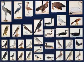 1998 Olof Rudbeck D.J.: Portfolio. Stockholm, René Coeckelberghs, 15 p.+35 t. Kiadói kartonmappában,...