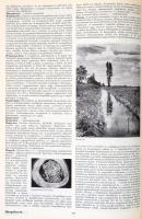 Erdészeti vadászati faipari lexikon. Szerk.: Ákos László. Bp., 1964, Mezőgazdasági Kiadó. Kiadói műb...