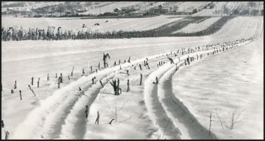 cca 1974 Zsigri Oszkár (1933-?) budapesti fotóművész hagyatékából 3 db vintage fotó, egy pecséttel j...