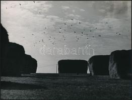 cca 1974 Zsigri Oszkár (1933-?) budapesti fotóművész hagyatékából 3 db vintage fotó, egy pecséttel j...