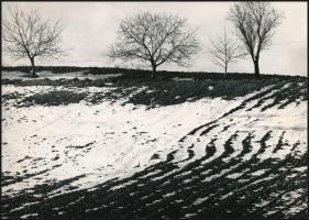 cca 1974 Zsigri Oszkár (1933-?) budapesti fotóművész hagyatékából 3 db vintage fotó, egy pecséttel j...