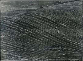 cca 1974 Zsigri Oszkár (1933-?) budapesti fotóművész hagyatékából 3 db vintage fotó, egy pecséttel j...