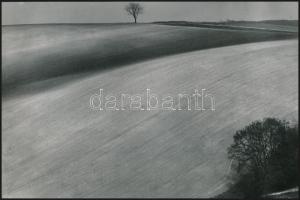 cca 1973 Zsigri Oszkár (1933-?) budapesti fotóművész hagyatékából 3 db vintage fotó, egy feliratozva...