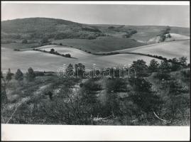 cca 1973 Zsigri Oszkár (1933-?) budapesti fotóművész hagyatékából 3 db vintage fotó, egy feliratozva...