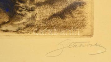 Glatz Oszkár (1862-1958)-Prihoda István (1891-1956): Vető paraszt. Színezett rézkarc, papír, jelzett...