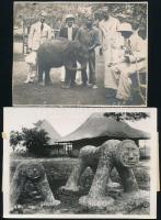 cca 1937 Afrika, 4 db vintage sajtófotó, három angol nyelven feliratozva, 18x13 cm / cca 1937 Africa...