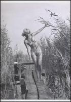 cca 1970 Velencei-tó, 2 db fotó (az egyik vintage, a másik mai nagyítás) + 2 db képeslap, 24x18 cm é...