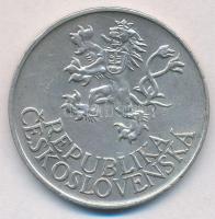 Csehszlovákia 1955. 25K Ag "Felszabadulás a német megszállás alól - 10. évforduló" T:2 kis...
