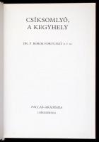 Boros Fortunát: Csíksomlyó, a kegyhely. Csíkszereda, 1994, Pallas Akadémia. Műbőr kötésben, jó állap...