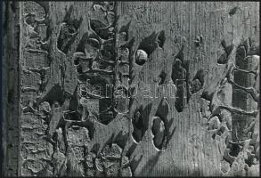 cca 1967 A magyar fotográfia avantgarde korszakából 3 db feliratozott vintage fotóművészeti alkotás,...