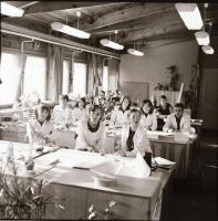 Sinka Antal (?-?) hagyatékából (aki a velencei AGROKOMPLEX fotósa volt az 1960-as, 1970-es években) ...